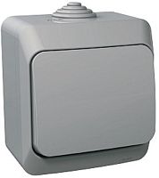 Переключатель накладной Systeme Electric Этюд 1-кл. проходной IP44 серый  картинка